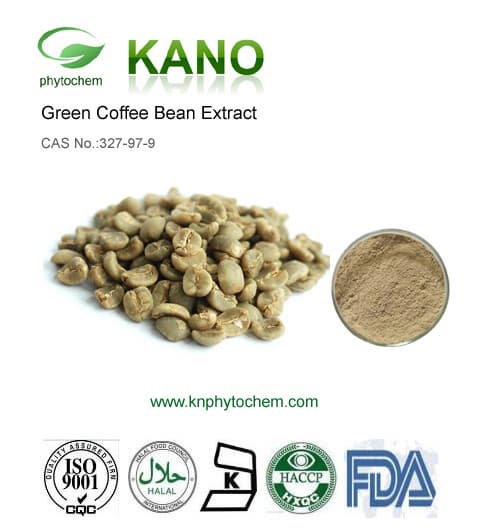 Green Coffee Bean Extract Chlorogenic Acid